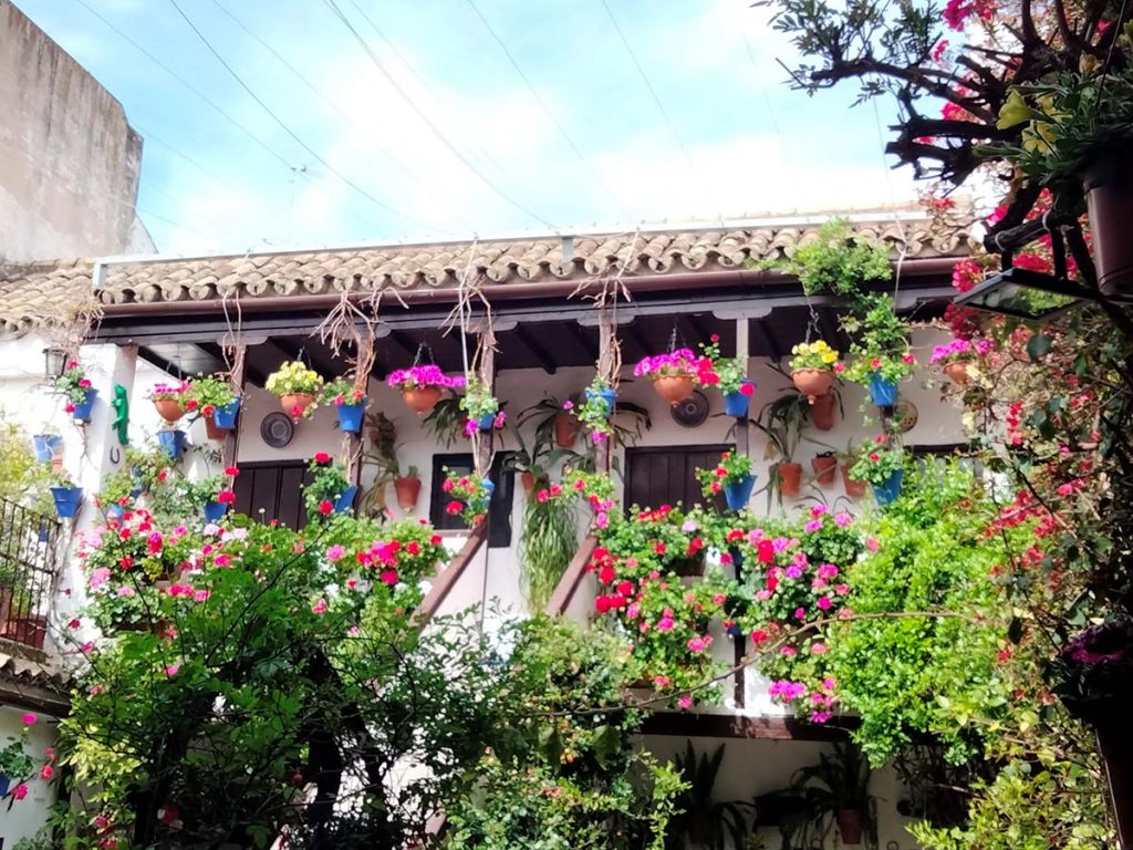 Historia de los patios cordobeses