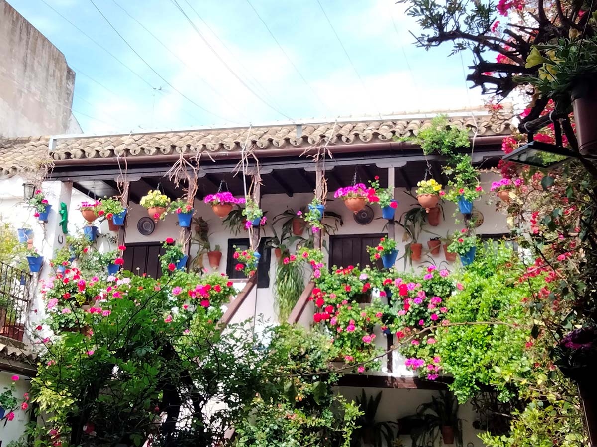 Historia de los patios cordobeses
